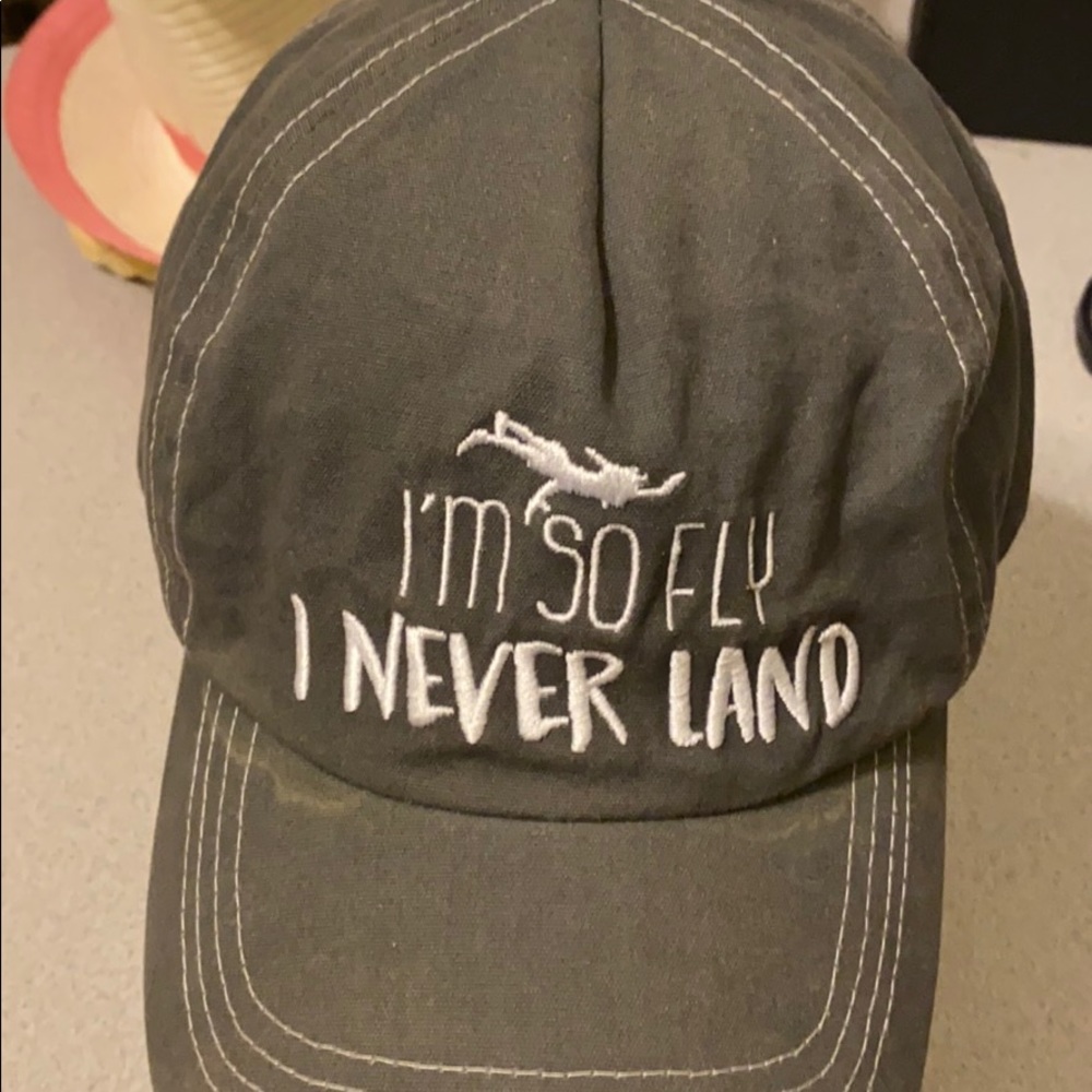 Disney Parks Adult Ball Cap